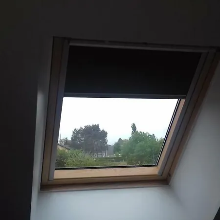 De La Forêt * Les Hogues