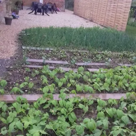 De La Foret Les Hogues