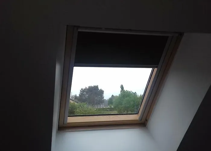 De La Foret * Les Hogues