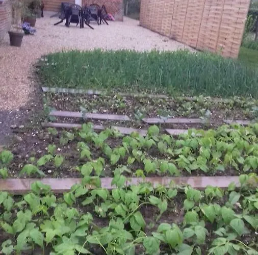 De La Foret Les Hogues